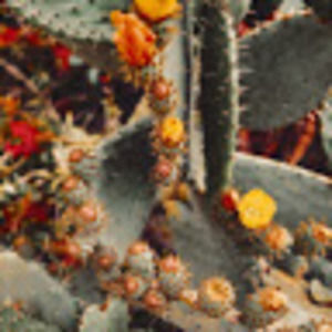 Meet your Posher, Nathan